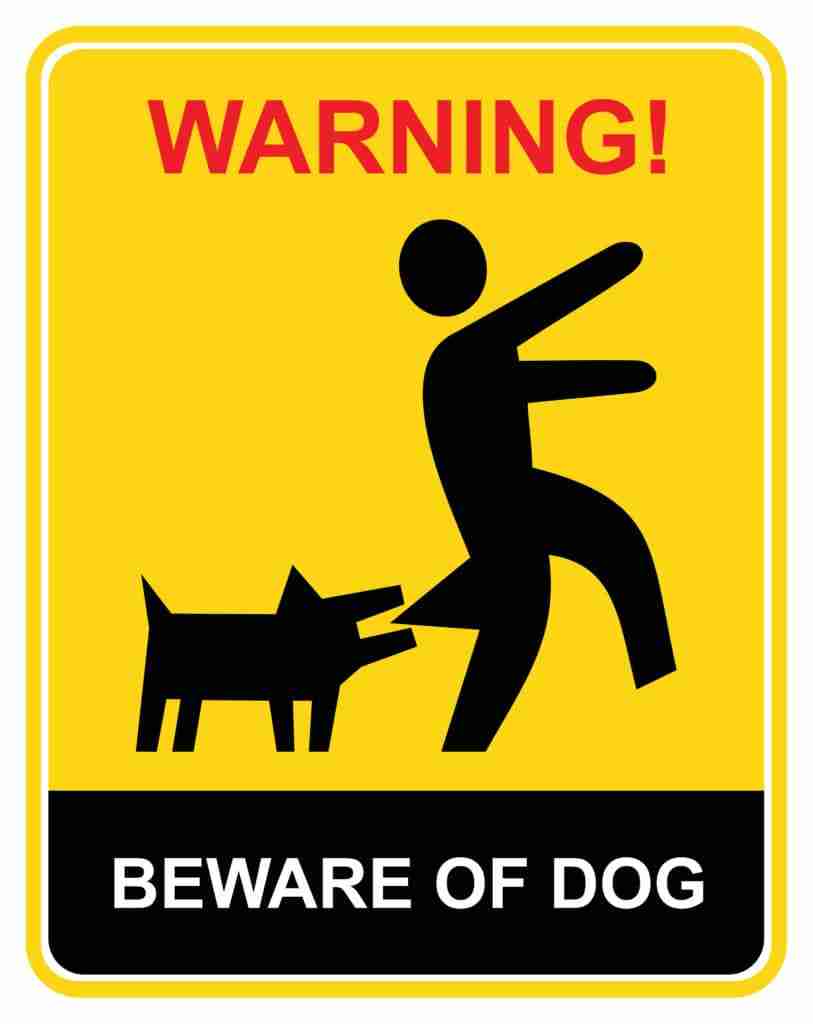 Warning – beware of dog
