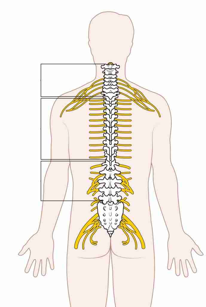 Spinal Cord Stimulation