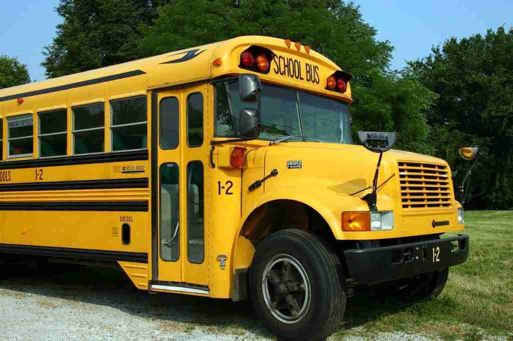 School – bus